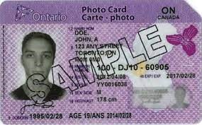 Picture6.jpg